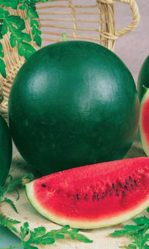 Арбуз САХАРНЫЙ МАЛЫШ