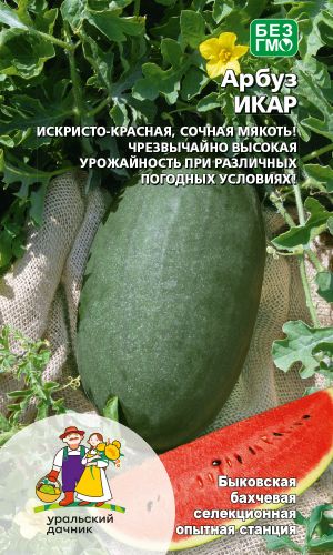 Арбуз ИКАР