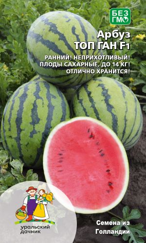 Арбуз ТОП ГАН F1