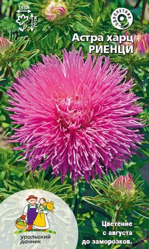 Астра РИЕНЦИ