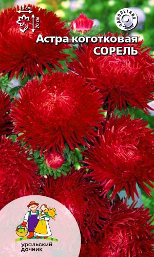 Астра СОРЕЛЬ