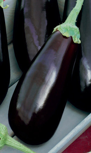 Баклажан ЧЁРНЫЙ ОПАЛ