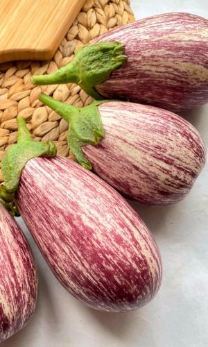 Баклажан МАТРОСИК