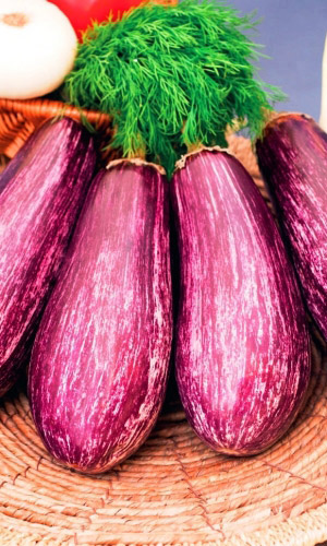 Баклажан ПЁСТРАЯ ЛЕНТА