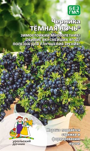 Черника ТЁМНАЯ НОЧЬ®
