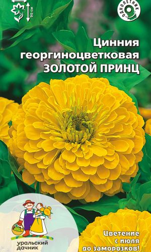 Цинния ЗОЛОТОЙ ПРИНЦ