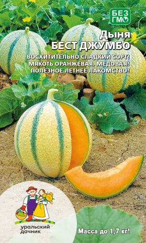 Дыня БЕСТ ДЖУМБО