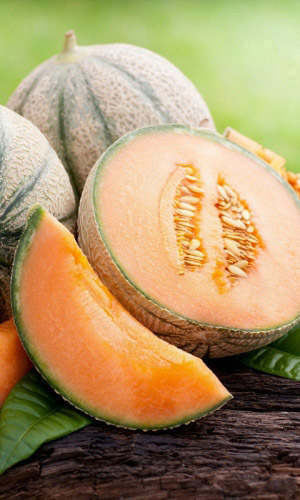 Дыня КАРАМЕЛЬ F1