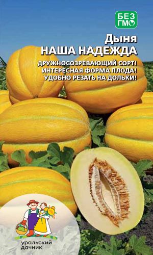 Дыня НАША НАДЕЖДА