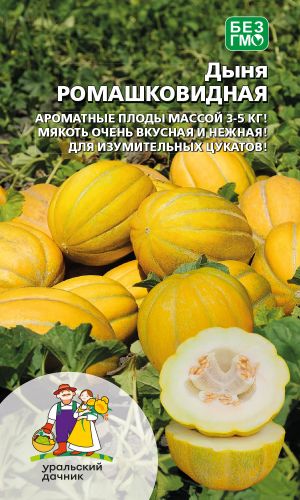 Дыня РОМАШКОВИДНАЯ