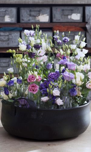 Эустома махровая АВС СМЕСЬ