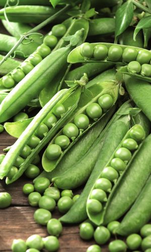 Горох СТАЙЛ