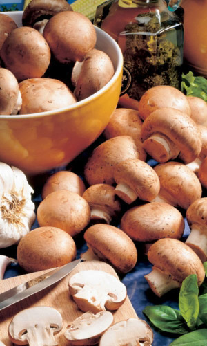 Грибы ШАМПИНЬОН КОРОЛЕВСКИЙ