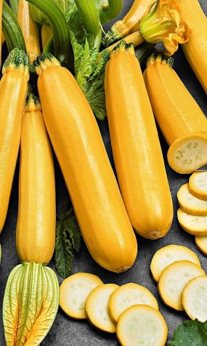 Кабачок ГЕРМАН