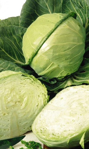 Капуста ИЮНЬСКАЯ