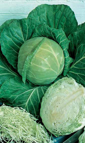 Капуста ЧУДО НА ЗАСОЛ F1