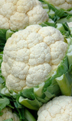 Капуста цветная САМО СОВЕРШЕНСТВО® F1