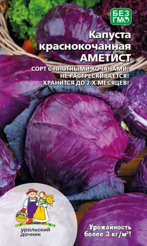 Капуста краснокочанная АМЕТИСТ