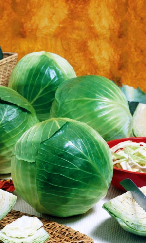 Капуста МЕЧТА F1