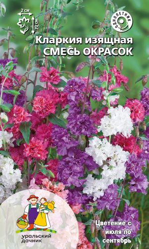 Кларкия изящная СМЕСЬ ОКРАСОК