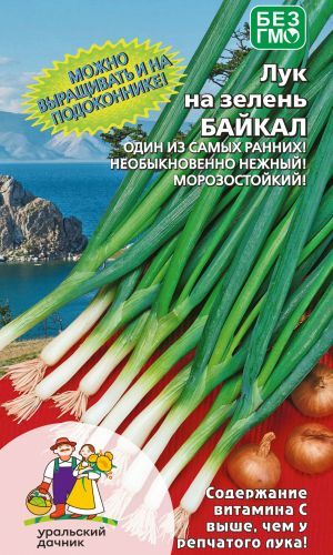 Лук на зелень БАЙКАЛ