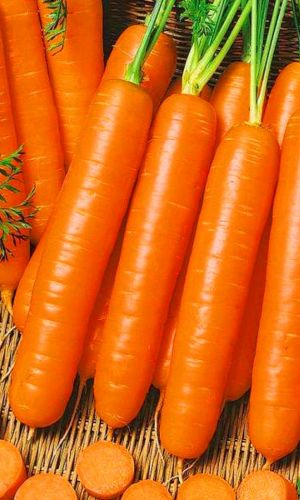 Морковь КАРАМЕЛЬ КРАСНАЯ