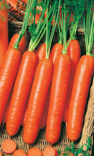 Морковь НАНТСКАЯ 4