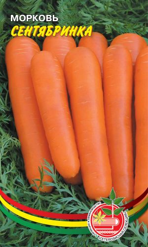 Морковь СЕНТЯБРИНКА &mdash; Стабильно урожаен и прекрасно хранится в зимний период!