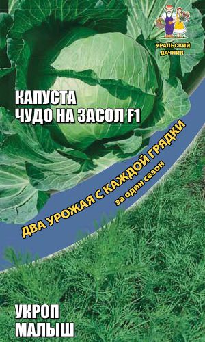 Набор овощей Капуста + Укроп