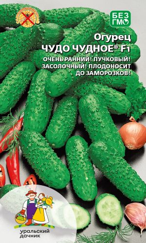 Огурец ЧУДО ЧУДНОЕ® F1