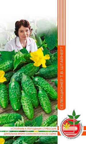 Огурец КОМАРИК F1 коллекция Татьяны Штайнерт
