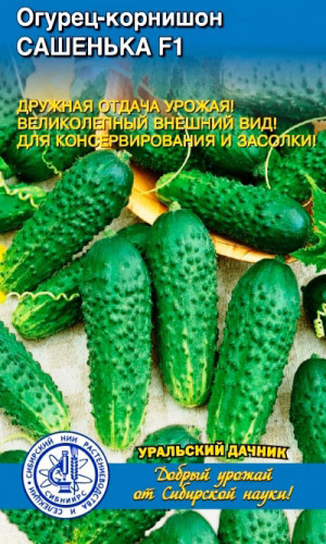 Огурец САШЕНЬКА F1