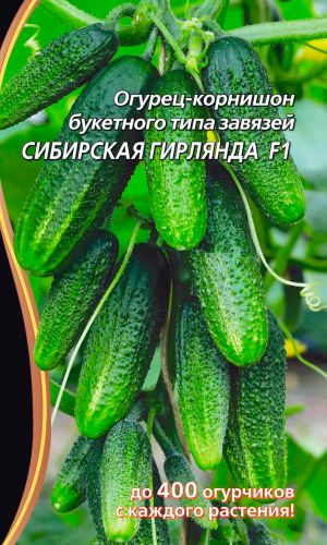 Огурец СИБИРСКАЯ ГИРЛЯНДА F1