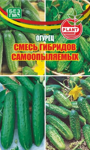 Огурец СМЕСЬ САМООПЫЛЯЕМЫХ ГИБРИДОВ ПЛАНТ