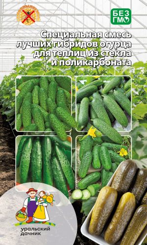 Огурец СПЕЦИАЛЬНАЯ СМЕСЬ ГИБРИДОВ ДЛЯ ТЕПЛИЦ ИЗ СТЕКЛА И ПОЛИКАРБОНАТА