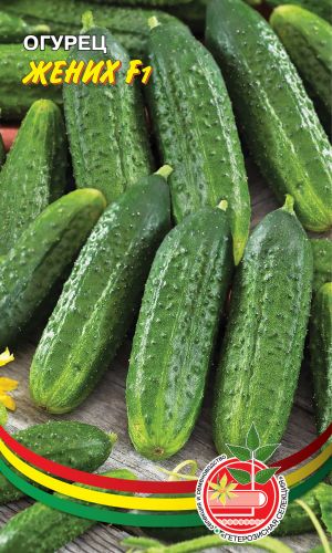 Огурец ЖЕНИХ F1