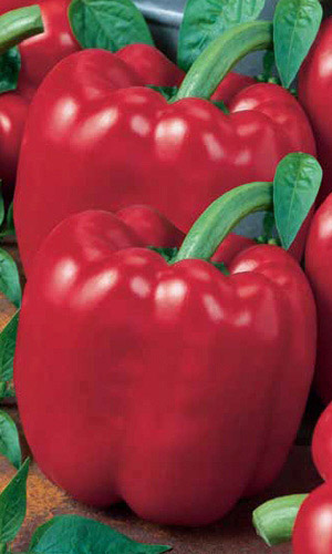 Перец КАЛИФОРНИЙСКОЕ ЧУДО