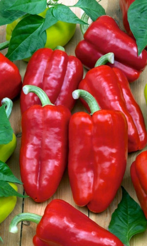 Перец КРАСНЫЕ ЩЁЧКИ