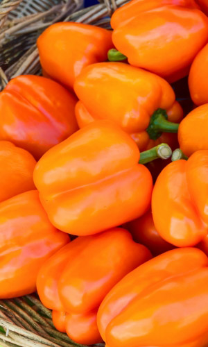 Перец МАНДАРИНОВЫЙ КУБ
