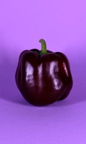 Перец МЕГАТОН МОЛОЧНЫЙ ШОКОЛАД F1