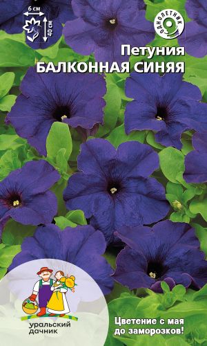Петуния БАЛКОННАЯ СИНЯЯ