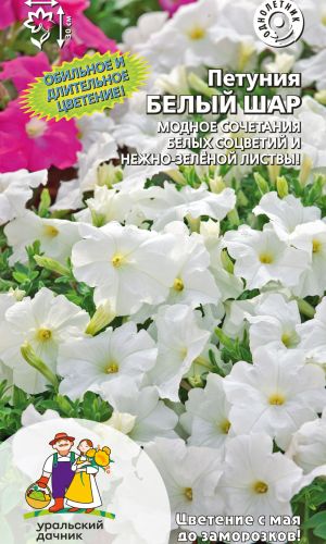 Петуния БЕЛЫЙ ШАР