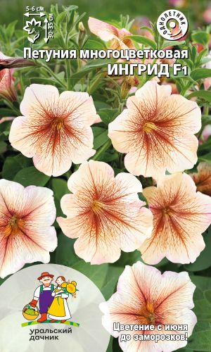 Петуния ИНГРИД F1