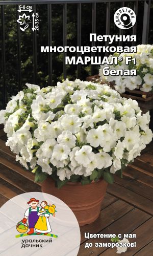 Петуния МАРШАЛ F1 БЕЛАЯ