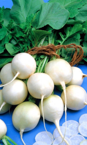 Редис РАФАЕЛЛО F1