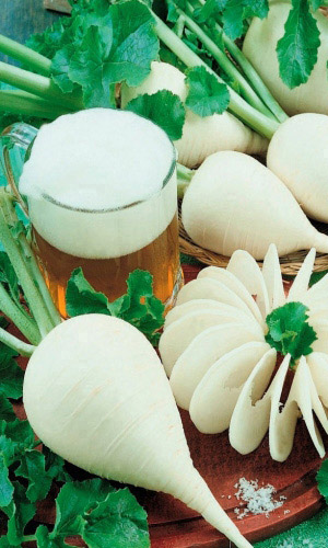 Редька МЮНХЕНСКОЕ ПИВО