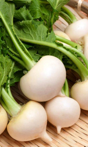 Репа ИВАНОВНА