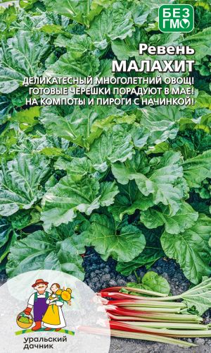 Ревень МАЛАХИТ