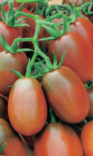 Томат ДЕ БАРАО ЧЕРНЫЙ