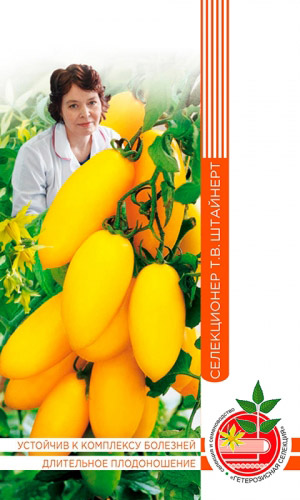 Томат КАНДИНСКИЙ коллекция Татьяны Штайнерт